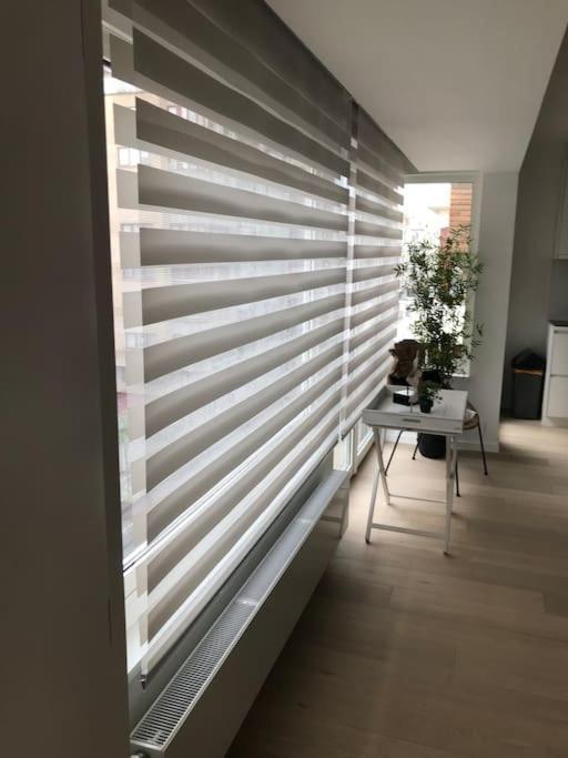 Casita Ostend City & Beach Екстер'єр фото